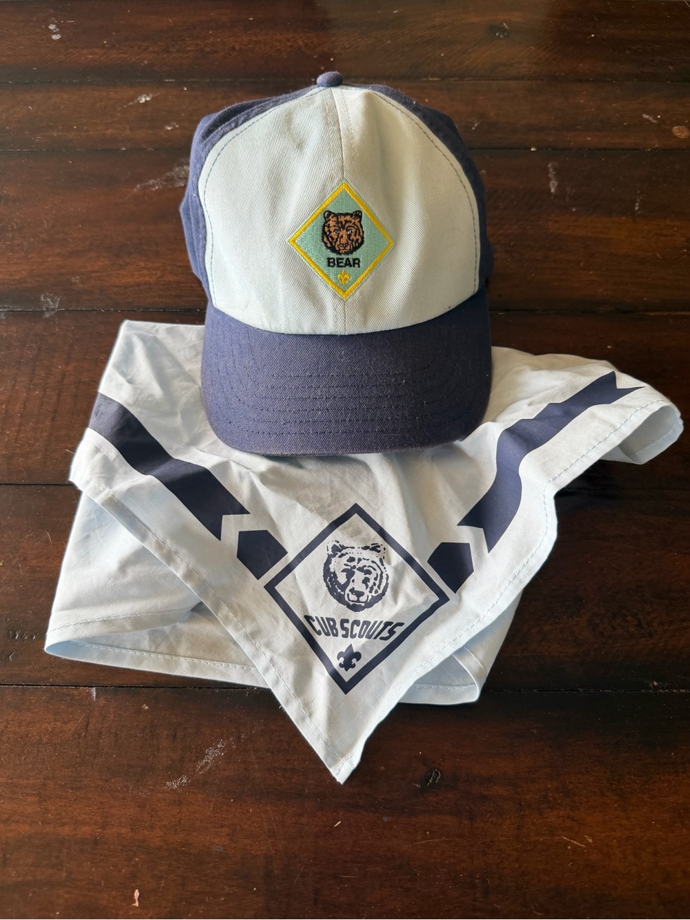 Cub Scouts Bear Cap and Neckerchief